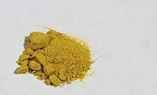 holisherb Panax Ginseng Powder 16 Ounce