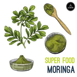 Naturevibe Botanicals Moringa Green Leaf Powder, 32 Ounces