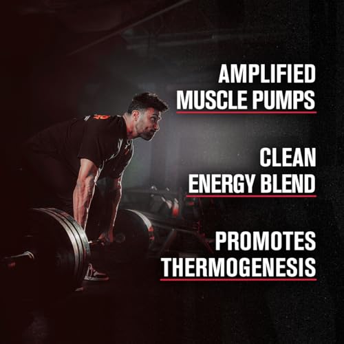 Jacked Factory Nitrosurge Shred Pre Workout Supplement Powder & Creatine Monohydrate Powder, 30 Servings Each