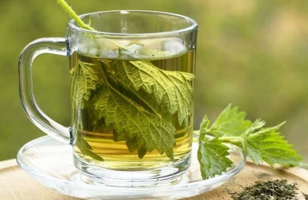 bodi Nettle Stinging Leaf Powder 16 Ounce