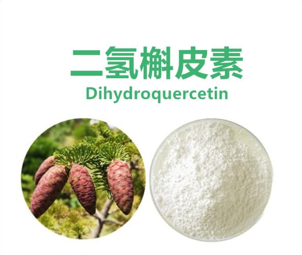 Bright sunlight Dihydroquercetin 98% Quercetin/Larch Extract Powder, 1 oz