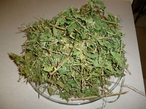 Purelife Herbs Anamu Leaves/Guinea Hen Leaves Powders 80