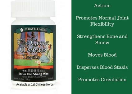 Plum Flower The Great Mender Teapills (Jin Gu Die Shang Wan) Tablets 200