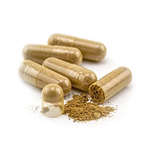 greenleaf Wildcrafted Jamaican Sarsaparilla Powder, Cocolmeca Bark Powder, 100 Count