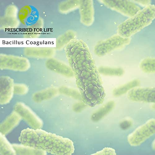 Prescribed For Life Bacillus Coagulans Powder 176.3698