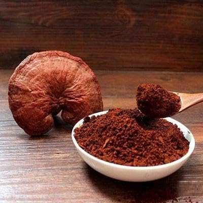 NaturalyPure Gano-Supreme Certified Organic Ganoderma Lucidum (Reishi) Spore Capsules, 90 Count