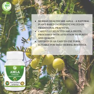 Morsan Healthcare Amla Capsules 500mg – Organic Indian Gooseberry Extract, 60 Count