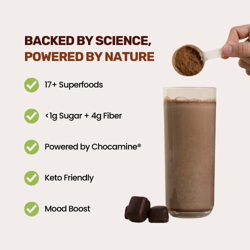 Cheerific Dark Chocolate Superfood Powder, 9.52 oz