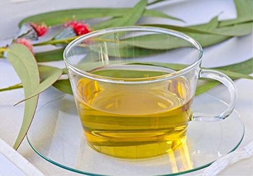 bodi Eucalyptus Leaf Powder 4 oz
