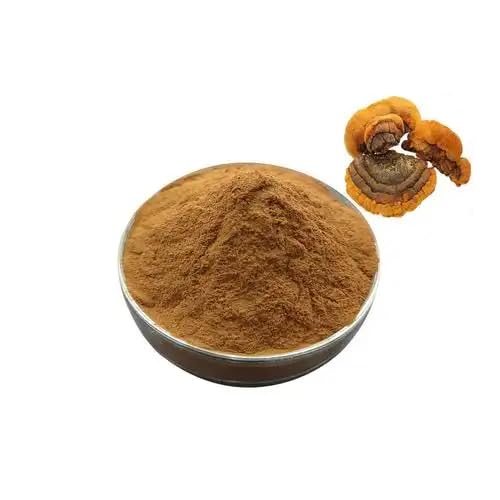 Bright sunlight Phellinus Linteus Extract 20:1 Powder 18