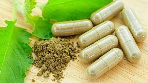 GreenLeaf Sea Moss and Bladderwrack Capsules, 100 Count