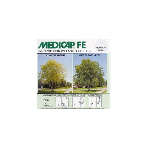 MediCap Iron Starter Capsules, 10 Count