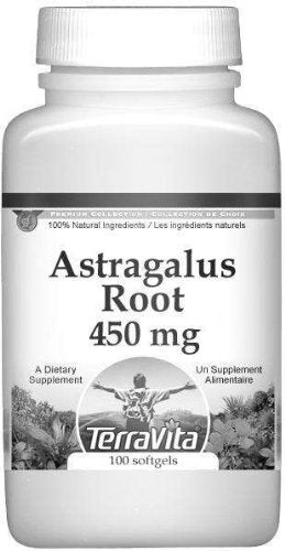 Terravita Astragalus Root 450 mg Capsules, 100 Count