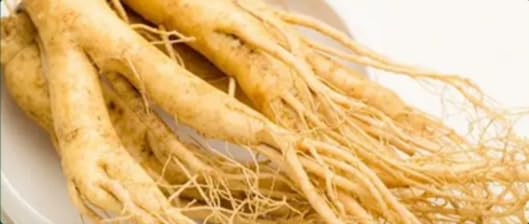 Bright sunlight Northeast Changbai Mountain Ginseng Root Extract Ginseng Root Powder 7 Ounce