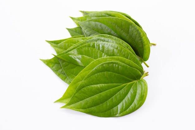 Kaxilu Verem Betel Leaf Powder (Powder) 28.2192