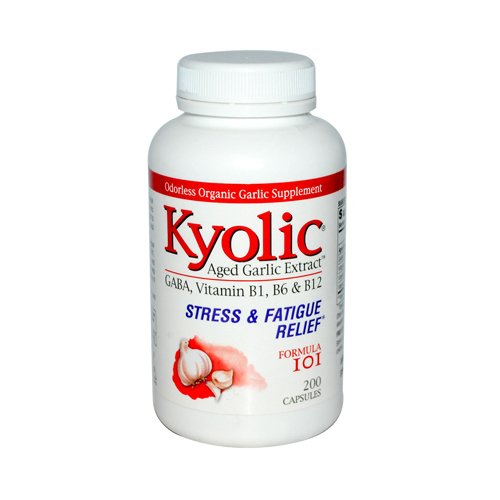 Kyolic #101 Aged Garlic Extract Capsules, 200 Count