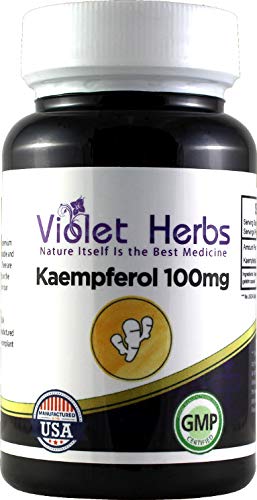 Violet Herbs Kaempferol 100mg Capsules, 60 Count