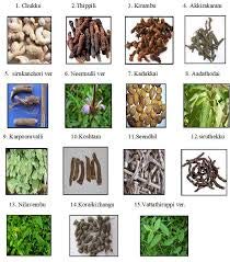 Yuktha Kaba Sura Kudineer Powder 1 Count