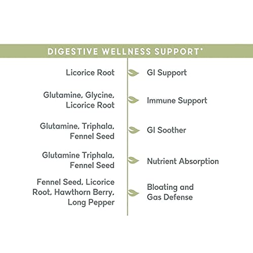 Balanced Vibe Brain+Gut Health Axis, 90 Capsules