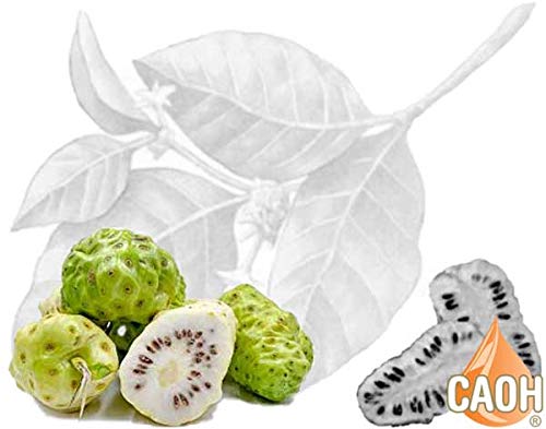 CALIFORNIA ACADEMY OF HEALTH Pure Freeze Dried Noni Capsules, 90 Capsules