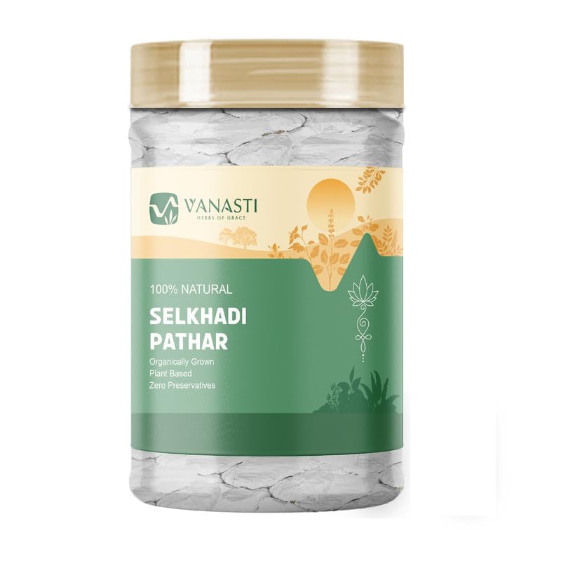 VANASTI Selkhadi Pathar Powder 3.52 Ounce