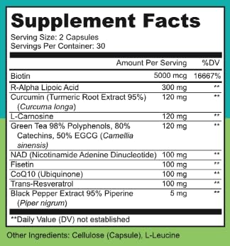 LIVELY VITAMIN CO Perfect Ten - Anti-Aging & Antioxidant Supplement - Biotin & Lipoic Acid - Healthy Hair, Skin, Nails - Energy Boost - Sharper Brain Function - Stronger Immunity - 60 Capsules