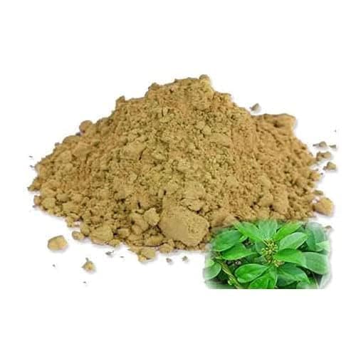 Generic Madhunashini Gurmar Powder 3.53