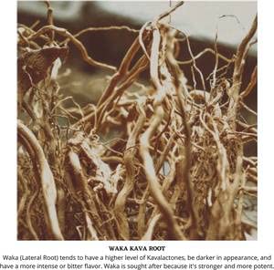 Enjoy Kava Premium Kava Powder 16 oz