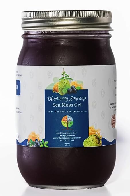 The Natural Branches Organic Blueberry and Soursop Fruit Sea Moss Gel Softgel 1 Count