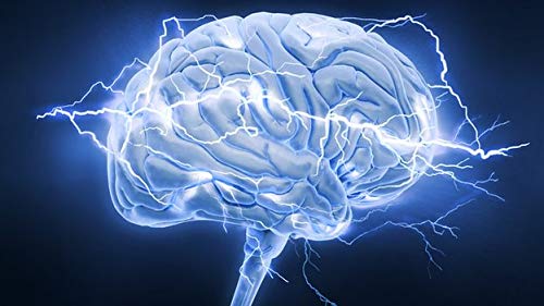 Silver Fox Supplements Memory Hack Acceleral Cognitive Brain Formula Capsule 1 Count