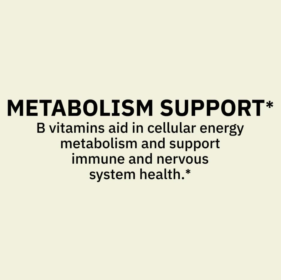 Generic Super Vitamin B-Complex Dietary Supplement 500 Tablets
