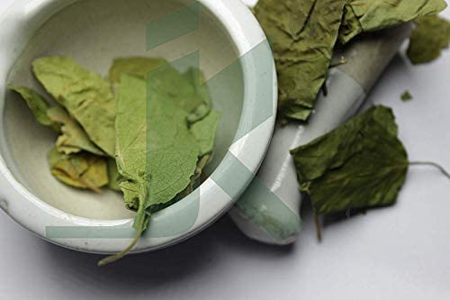 bixa BOTANICAL Gymnema Leaf Powder (Gudmar, Shardunika) 7 oz
