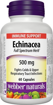 Webber Naturals Echinacea Herb Full Spectrum Herb 500 mg 60 Capsules