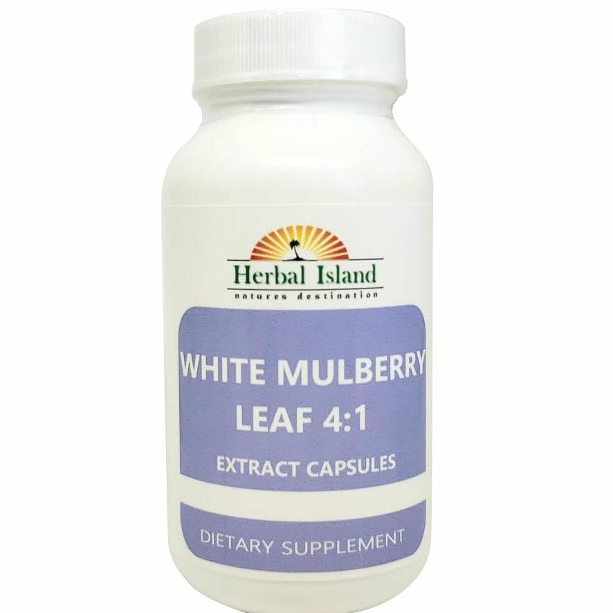 Generic White Mulberry Leaf Extract 4:1 Capsules, 240 Capsules