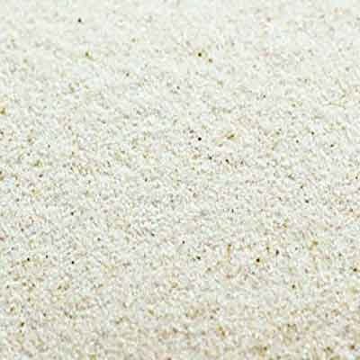 Indus Organics Psyllium Husk Powder, 1 Count