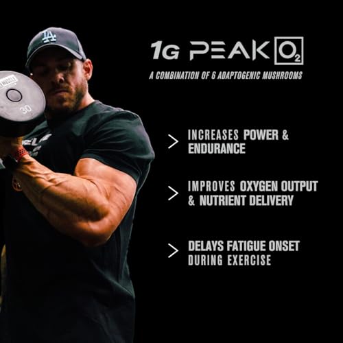 Jacked Factory Muscle Builder Supplement Stack - Build-XT Muscle Builder & N.O. XT Nitric Oxide Boosting Agent for Dual Support, 1 Capsule