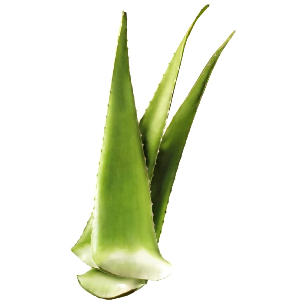 Greenhouse PCA Aloe Vera Capsule/Liquid 1