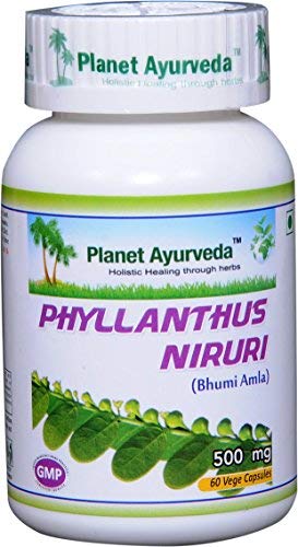 Planet Ayurveda Phyllanthus Niruri 500 Mg 60 Veg Capsules