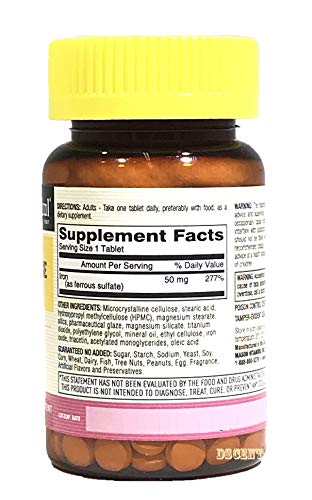 Mason Natural Slow Release Iron Tablets, 60 Count