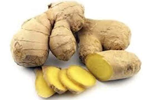 Harmony Nutraceuticals Ginger Supreme - Respiratory Harmony Capsule, 120 Count