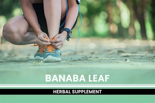 PURE ORIGINAL INGREDIENTS Banaba Leaf Extract Capsule 365 Count