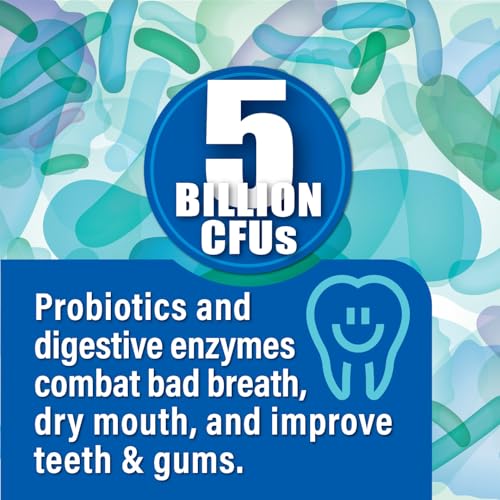 Probiotiv Oral Probiotics for Mouth Bad Breath 5 Billion CFU – Chewable Dental Probiotic for Teeth and Gums & Fresh Breath, Combats Dry Mouth, Halitosis & Supports Gut Health (60 Count (Pack of 4))