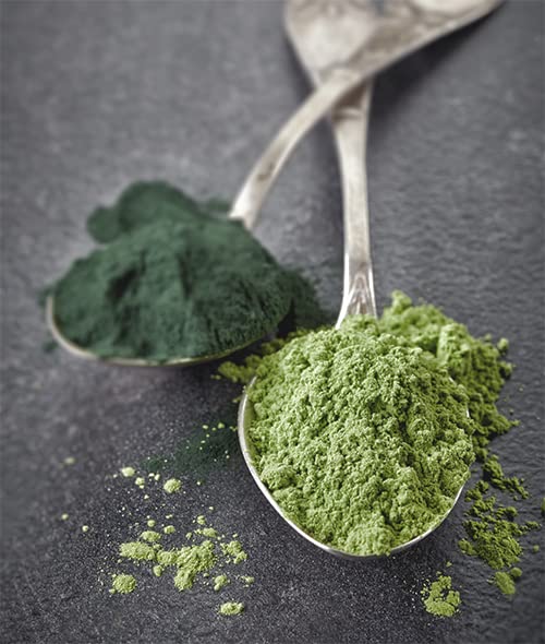 Jovvily Wheat Grass Powder 8 oz