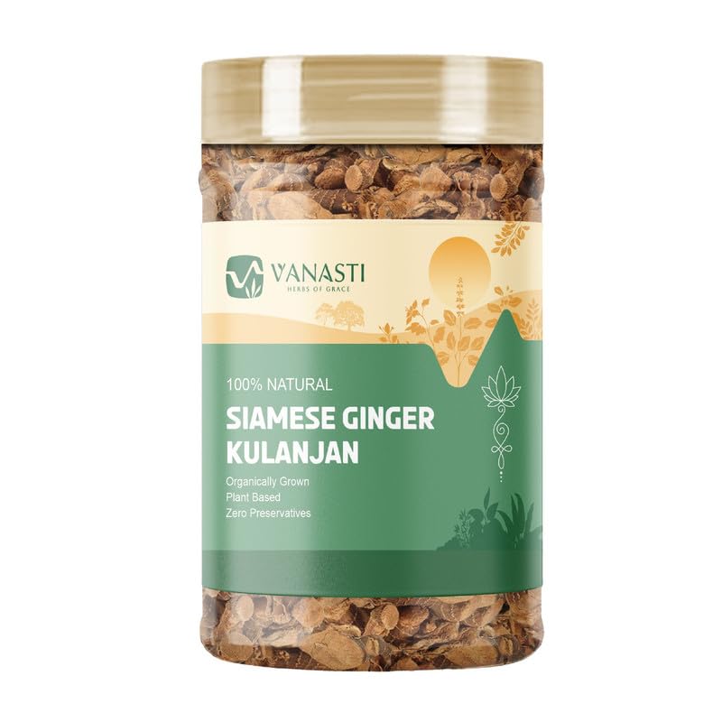 VANASTI Kulanjan Powder 3.52 Ounce