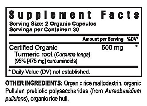 Antioxidant Pürmeric Organic Turmeric Capsules, 120 Count