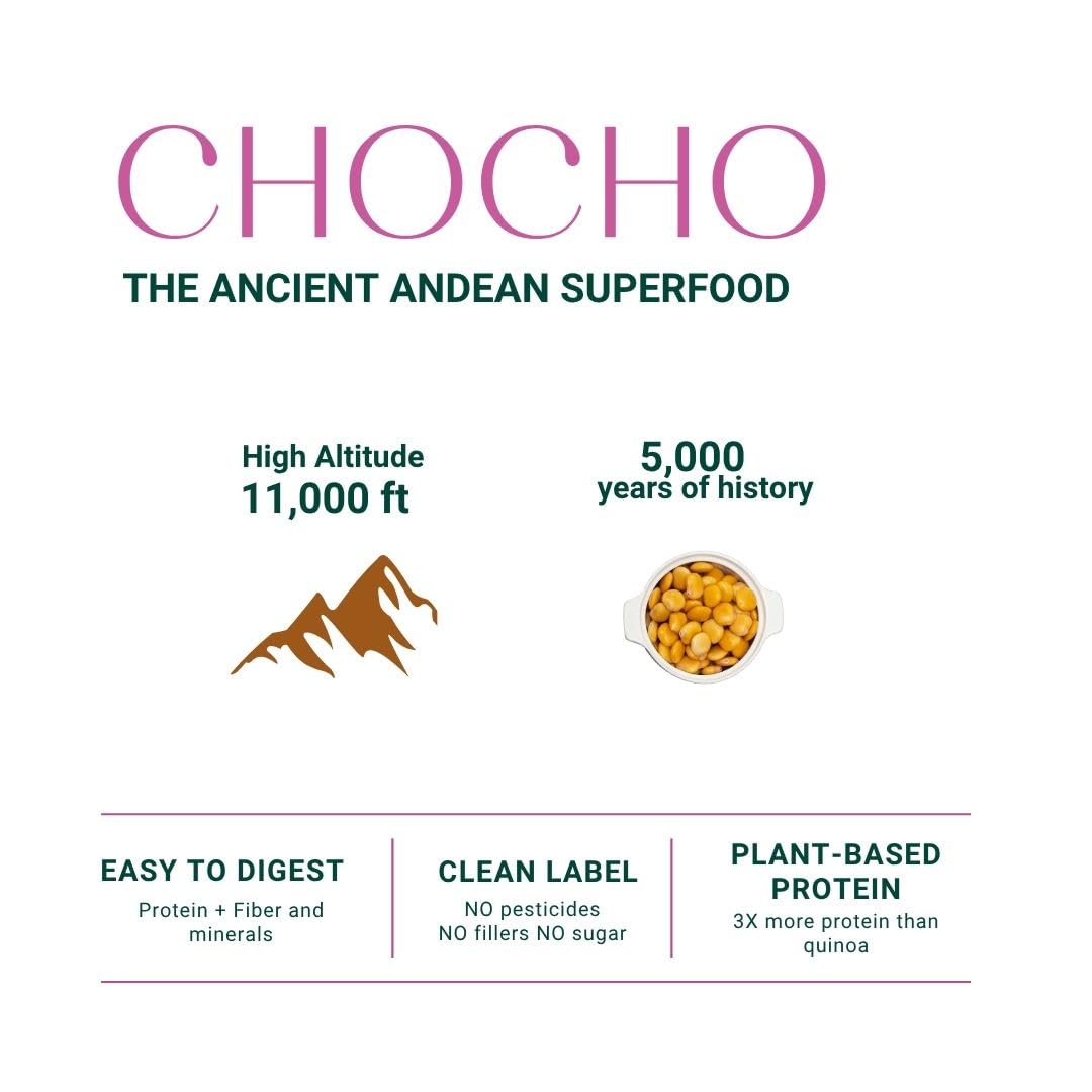 SEED Chocho Pure Plant-Based Protein Powder 17.6 oz
