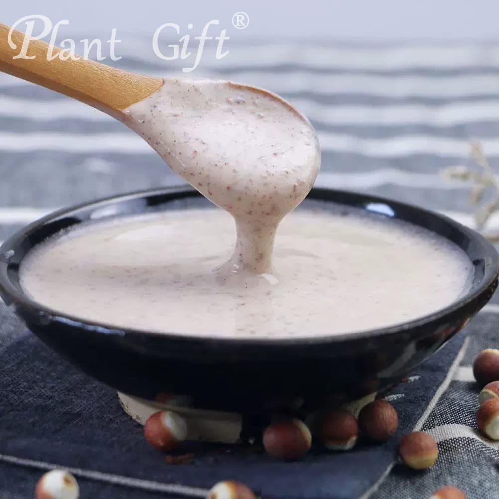 Plant Gift Euryales Semen Powder 3.53 oz