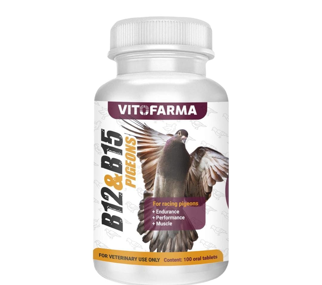 VITOFARMA Vitamin B15 - B12 100 Tablets