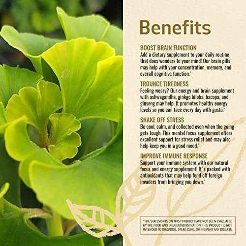 HERBAMAMA Brain Support Capsules, 100 Count
