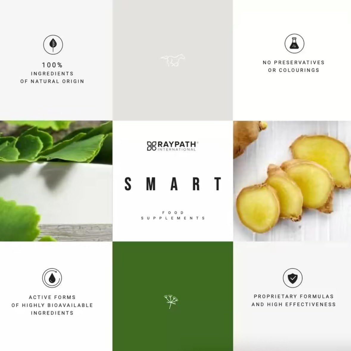 Raypath International Detox Smart Natural Cleanse & Digestive Support with Fennel, Dandelion, Milk Thistle & Nettle, 60 Capsules